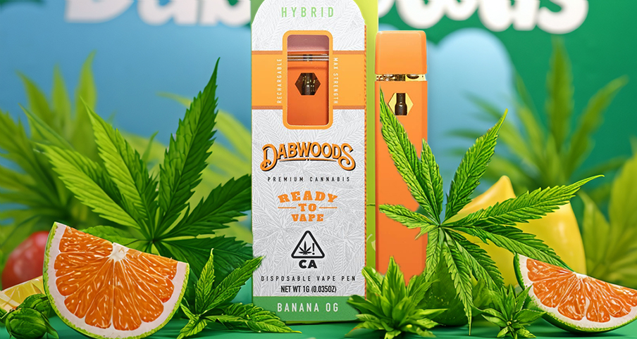 The Dabwoods 1G Disposable Vape Pen has become a popular choice among vaping enthusiasts